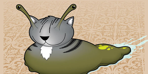 Kitty Slug